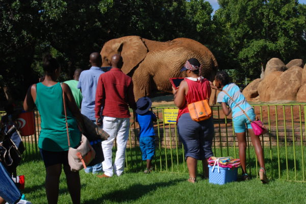 Ride Gautrain and get free entry for the kids
