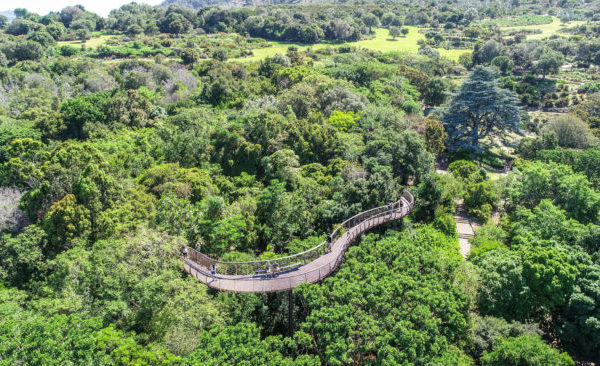 National Botanical Gardens set to open